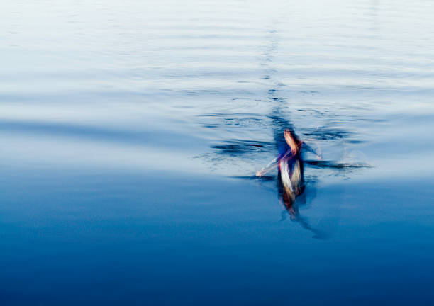 Long exposure of a paddler in a surf-ski on a blue lagoon, motion blur.