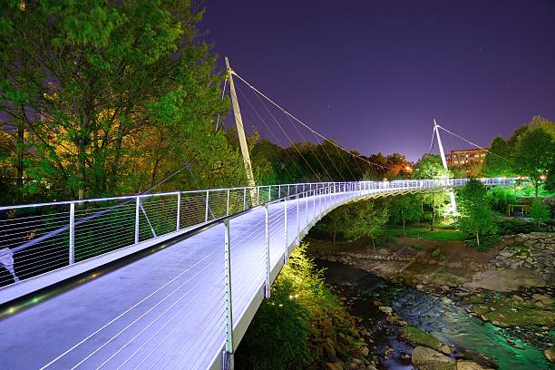 Bridge over Falls Park at night