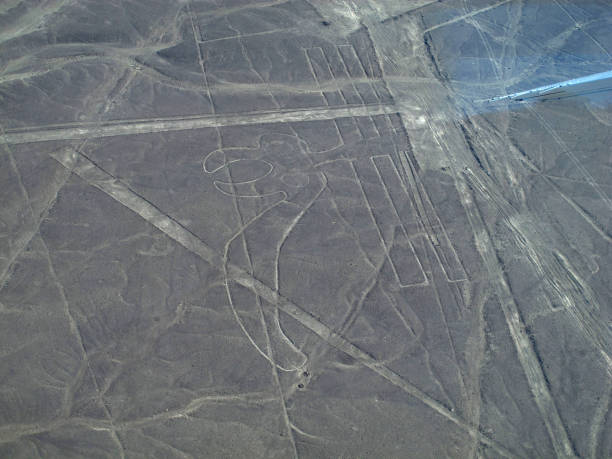 istock The Nazca lines in Peru, South America 1881523013