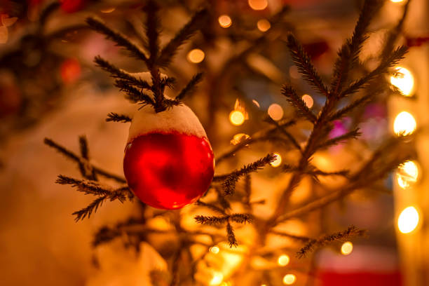 galhos de árvore de natal na neve com uma linda bola vermelha para decoração. cartão de ano novo. tonalidade quente - christmas tree branch - fotografias e filmes do acervo