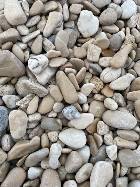 istock Sea stone on beach for background 1881601646