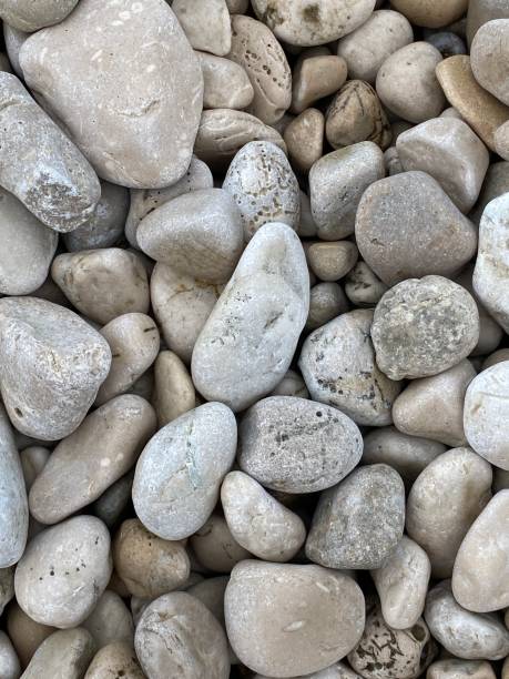 istock Sea stone on beach for background 1881601652