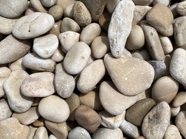 istock Sea stone on beach for background 1881602132