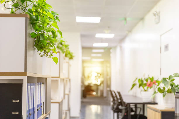 Corridor in modern office with green plants
