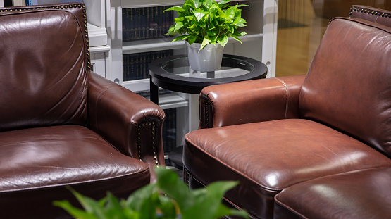 Luxurious retro-style rest area inside the company, with leather sofas and green plants