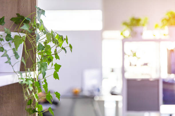 istock Modern style company interior corridor with green plants 1881628755
