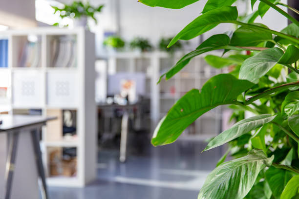 istock Modern style company interior corridor with green plants 1881629272