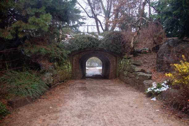 istock City park on Christmas morning 1881630818