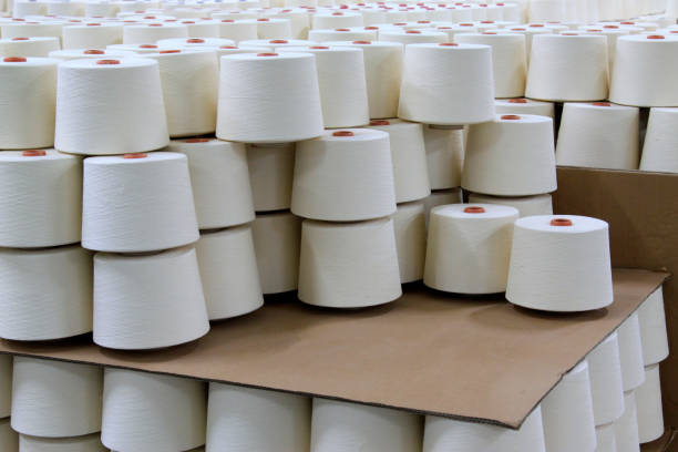istock cotton group on a spinning production line 1881633971