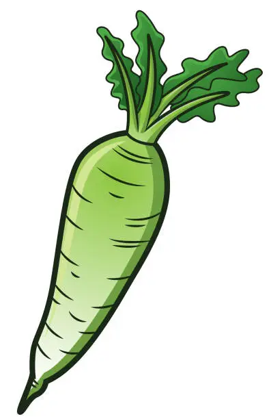 Vector illustration of White radish cartoon