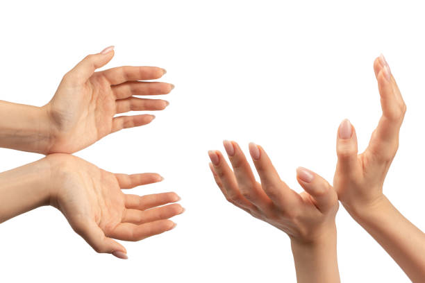 istock Woman hand isolated on a white background. 1881657946