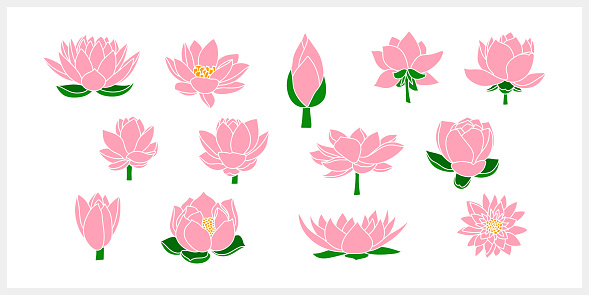 Doodle lotos rose flower with leaf clipart isolated Hand drawn cartoon nature Vector stock illustration EPS 10