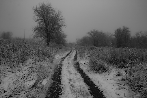 morning winter path
