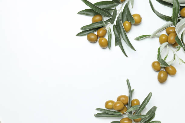 istock Olives and leaves on white background, space for text 1881753044