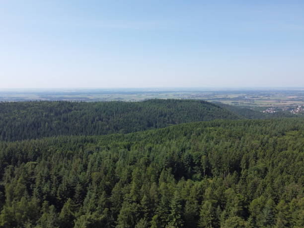 istock Bavarian forest with fields and meadows, aerial 1881769728