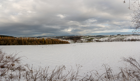 A picturesque winter landscape with a snow-covered field with a blanket of white snow