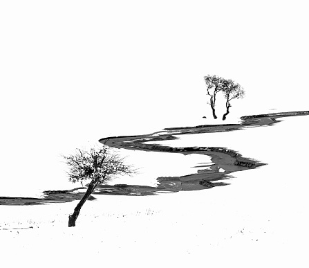 An artistic black and white photograph depicting two trees standing on a hill blanketed in snow