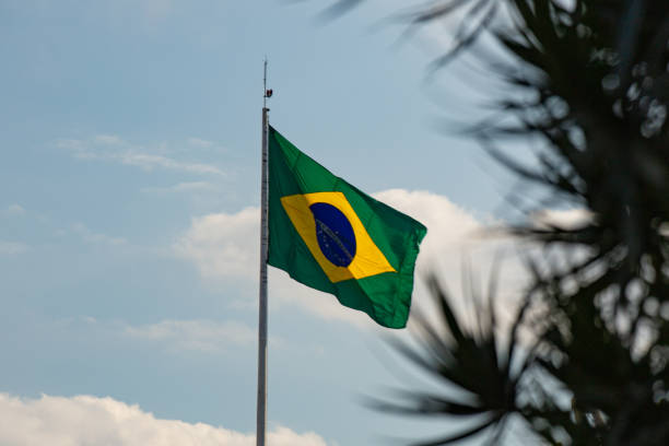 istock Brazilian flag and vegetation 1881796029