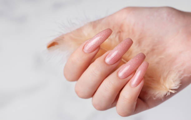 istock Female hands with pink nail design  hold a feather 1881800706