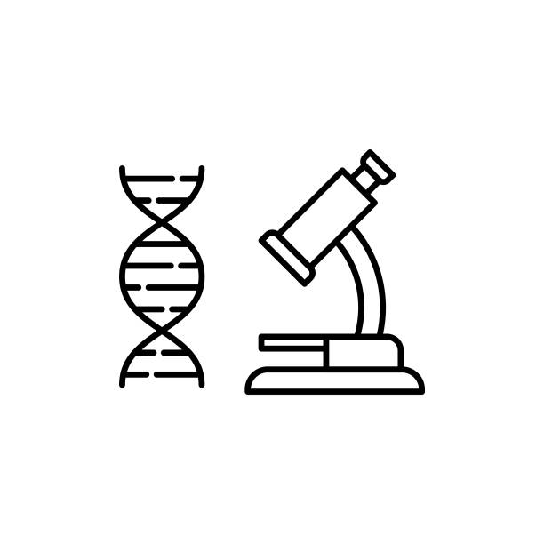 Scientific Research Line Icon with Editable Stroke. The Icon is suitable for web design, mobile apps, UI, UX, and GUI design. Microscope Line Icon with Editable Stroke. The Icon is suitable for web design, mobile apps, UI, UX, and GUI design. genetics icon stock illustrations