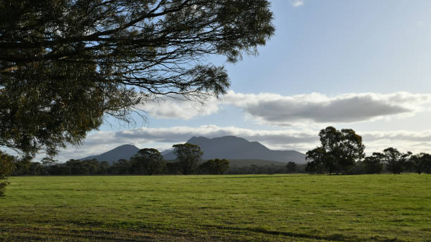 distant view of the stirling range mountains - mountain mountain range bluff cliff imagens e fotografias de stock