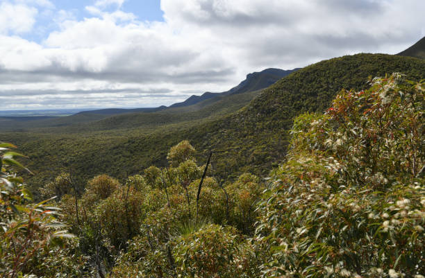 view of the stirling range mountains at the start of bluff knoll hiking trail - mountain mountain range bluff cliff imagens e fotografias de stock