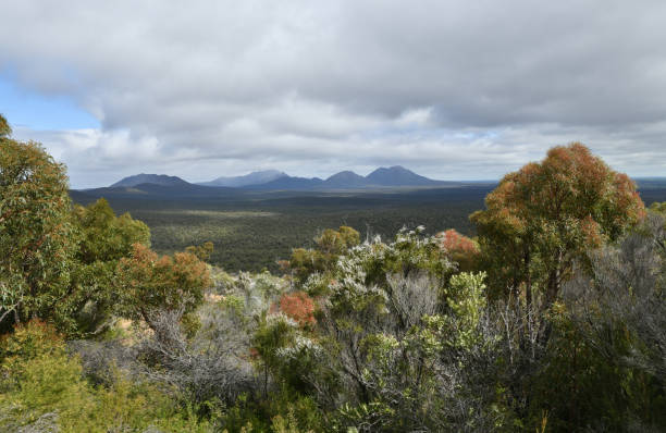 lush vegetation in stirling range national park, wa - mountain mountain range bluff cliff imagens e fotografias de stock