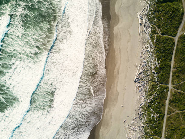 istock ocean aerial view with waves 1881818940