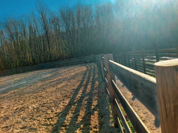 istock Fenced sandy running track for horses 1881822557