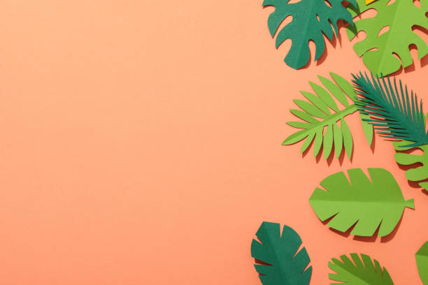 istock Paper green tropical leaves on a peach background. 1881822567