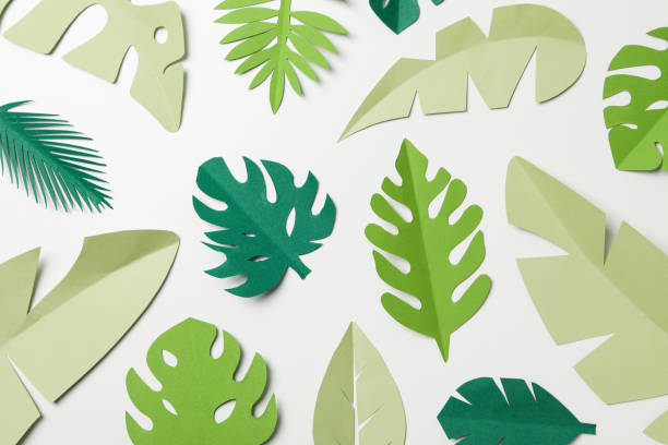 istock Paper green tropical leaves on a light background 1881827744