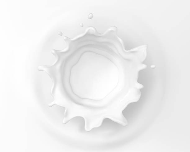 istock Milk crown splash, splashing in milk pool. Splashing milk top view. Vector realistic illustration 1881886158