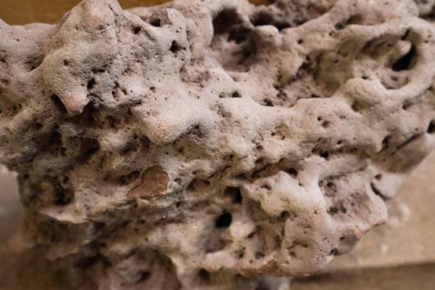 Textured rock with holes