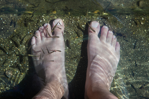 Natural massage therapy with fish on the banks of the Arrago river, Perales del Puerto natural swimming pool, Sierra de Gata, Caceres, Extremadura, Spain