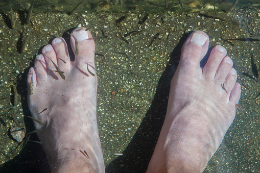 Natural massage therapy with fish on the banks of the Arrago river, Perales del Puerto natural swimming pool, Sierra de Gata, Caceres, Extremadura, Spain