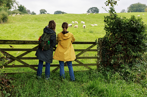 Mother and teenage daughter are hiking in the Cotswolds, Gloucestershire, United Kingdom. They are looking at the sheep on pasture.
Shot with Canon R5
