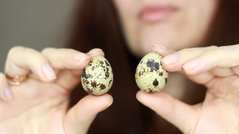 Woman holds two quail eggs in her hand. Focus on the eggs. Benefits and comparison of eggs