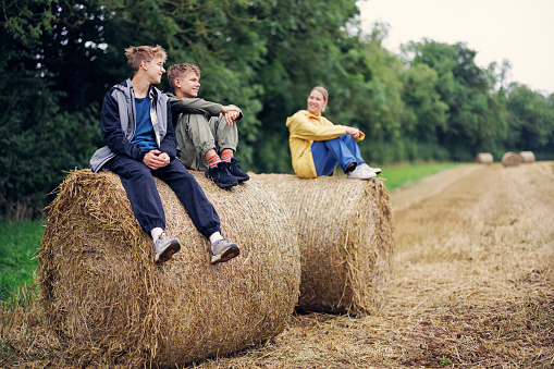 Three teenage kids are hiking in the Cotswolds, Gloucestershire, United Kingdom. They are sitting on straw bales on the field by the forest.
Shot with Canon R5
