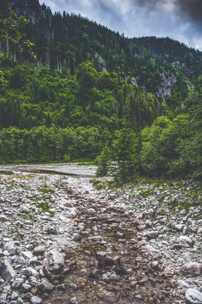 istock Stony stream in High Tatras 1882071236