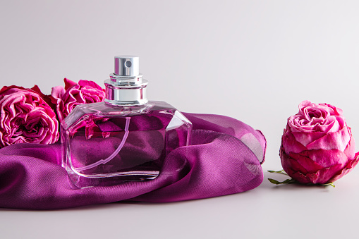 A chic bottle of women's perfume stands on a chiffon purple scarf among fresh roses. Expensive fragrance. Front view. Pastel background