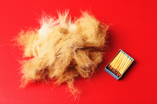 Large quantity of cat fur brushed from a pair of ginger-and-white pet cats in a single brushing as the shedding season begins in earnest. A matchbox is provided for scale but it is easily removed from the image if necessary.