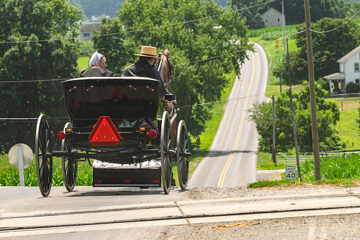 Ronks, United States – July 23, 2023: Ronks, Pennsylvania, July 23, 2023 - A Rear View of an Amish Couple in an Open Horse and Buggy, Heading Down a Rural Road on a Sunny Summer Day