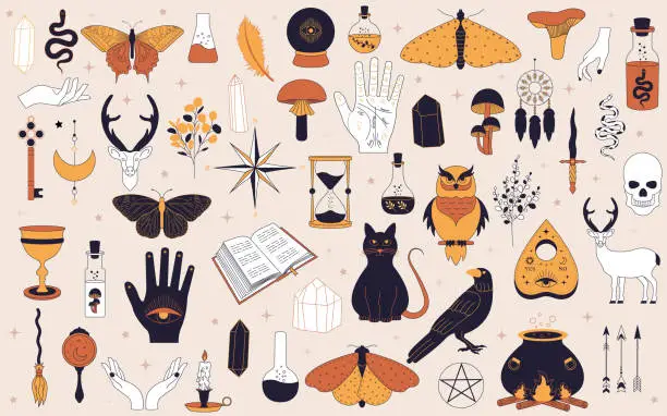 Vector illustration of Witchy magic set. Set of witchcraft items. Collection of witchy magic and esoteric equipment. Vector illustration of mythical elements.
