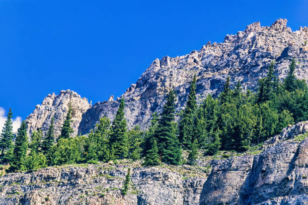 istock Steep mountainside with spruce trees in the rocky mountains 1882205609