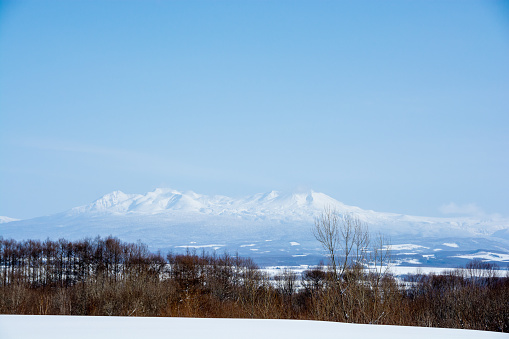 Winter thickets and snowy mountains with a blue sky