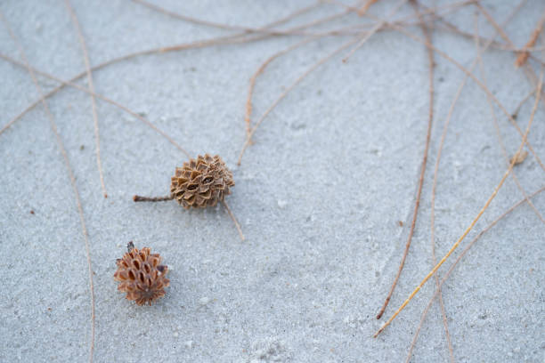 White sandy beach with footprints and foreign objects washed up on the beach by the sea.