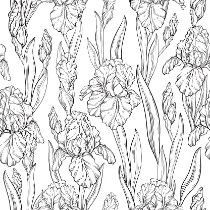 Seamless Black and white pattern with iris flowers and leaves. Spring floral print, decorative botanical background with hand drawn plants. Vector illustration.