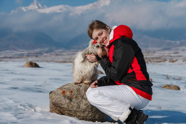 giovane turista con cane sullo sfondo delle montagne invernali - 11828 foto e immagini stock
