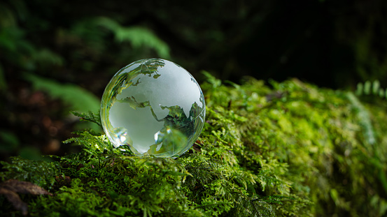 Crystal Earth In Forest With Ferns And Sunlight - Environment, save clean planet, earth day, conservation and ecology concept. Earth Day banner with copy space. Net zero emissions. ESG.