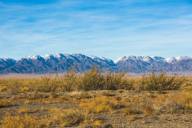 istock Kazakhstan steppe autmn landscape. Dry grass and mountains 1882336826